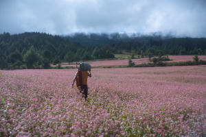 不丹沒有槍電影劇照4