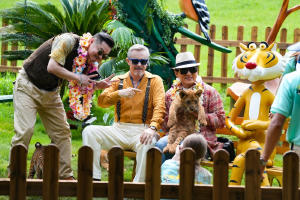 熊貓計劃電影劇照23