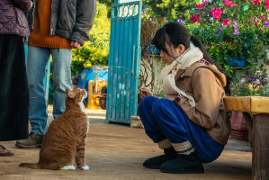 調教我的喪屍女兒電影劇照14