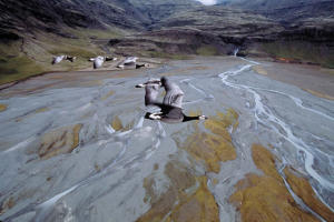 鳥與夢飛行 (M+ Cinema Programmes)電影劇照4