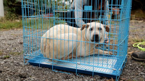 毛家電影劇照10