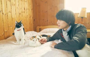 旅貓日記電影劇照12