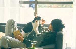 旅貓日記電影劇照11