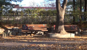 蜻蜓飛過的歲月(EADF2024)電影劇照7