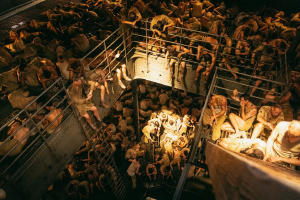 東極島電影劇照9