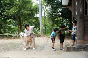最後的情書電影劇照7