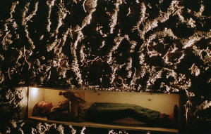 標殺令：終極血腥版電影劇照6