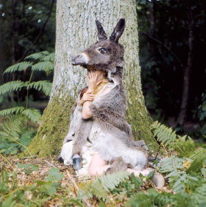 仙侶奇緣 (M+ Cinema Programmes)電影劇照2