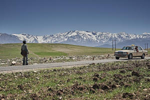 救參的士電影劇照17