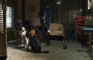 人心狗吠電影劇照5