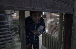 人心狗吠電影劇照7