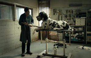 人心狗吠電影劇照9