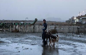 人心狗吠電影劇照11