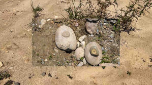 萬象的訊號 (M+ Programme)電影劇照3