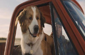 再見亦是狗朋友2電影劇照3