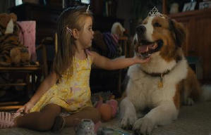 再見亦是狗朋友2電影劇照4