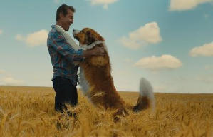 再見亦是狗朋友2電影劇照6