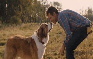 再見亦是狗朋友2電影劇照7