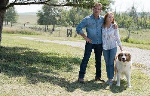 再見亦是狗朋友2電影劇照8