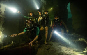 鯊海47米：狂鯊出籠電影劇照9