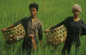 粒粒皆辛苦電影劇照2