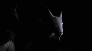 與差別邂逅 (M+ Cinema Programmes)電影劇照2