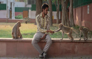 與猴同行電影劇照2