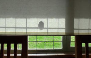 廿四格電影劇照3