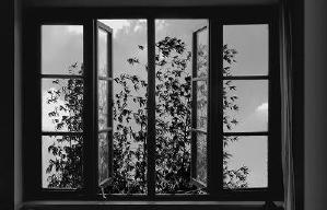 廿四格電影劇照5