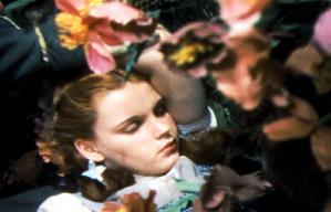 綠野仙蹤電影劇照8