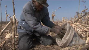 王兵︰無名者 (M+ Cinema Programmes)電影劇照3