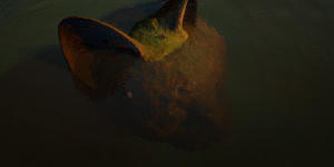 貓貓的奇幻漂流電影劇照38