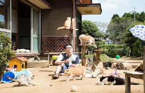 貓咪收集之家電影劇照5