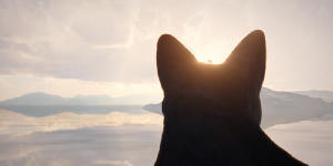 貓貓的奇幻漂流電影劇照41