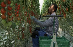 難有出頭天電影劇照8