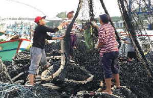 鄭性澤的48小時 +  觀漁 + 祝我好孕 - 華語紀錄片節2017電影劇照3