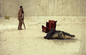 鱷口逃生電影劇照11