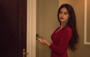 美國特工電影劇照5