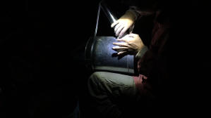 海中獸與飛天潛水艇 (M+ Cinema Programmes)電影劇照2