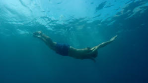 穿越時空的發現號／變形記之木歌物語(EADF2025)電影劇照2