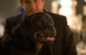 出Show狗仔隊電影劇照11