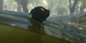 貓貓的奇幻漂流電影劇照53