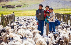 天籟夢想 - 香港兒童國際電影節 2018電影劇照8