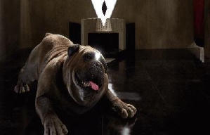 異人族電影劇照7