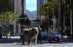 異人族電影劇照10