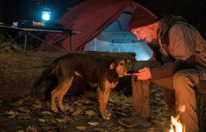 貝拉400哩的約定電影劇照11