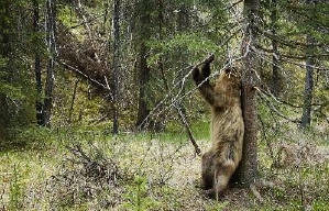 地球：奇妙的一天電影劇照4
