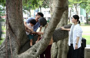 自由行電影劇照9