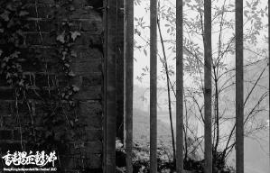 兄弟爬山：抗爭紀錄短片系列 - 香港獨立電影節2020電影劇照7