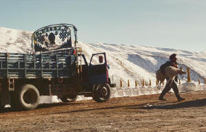 撞死了一隻羊電影劇照5